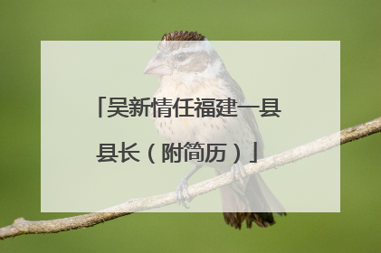 吴新情任福建一县县长（附简历）