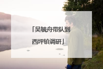 吴毓舟带队到西坪镇调研