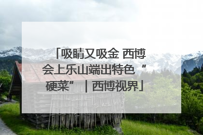 吸睛又吸金 西博会上乐山端出特色“硬菜”｜西博视界