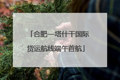 合肥—塔什干国际货运航线端午首航