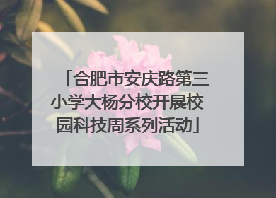 合肥市安庆路第三小学大杨分校开展校园科技周系列活动