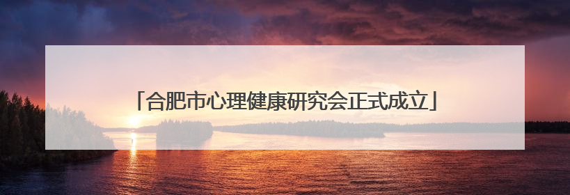 合肥市心理健康研究会正式成立