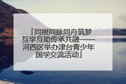 同根同脉同舟筑梦 互学互助传承共融——河西区举办津台青少年国学交流活动