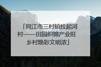 同江市三村镇拉起河村——田园织锦产业旺 乡村焕彩文明浓