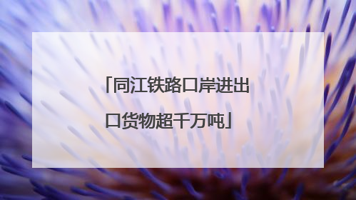 同江铁路口岸进出口货物超千万吨