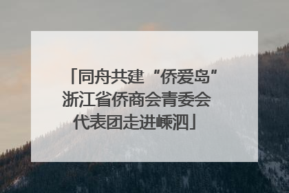 同舟共建“侨爱岛” 浙江省侨商会青委会代表团走进嵊泗