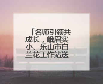 名师引领共成长，峨眉实小、乐山市白兰花工作站送教南山学区