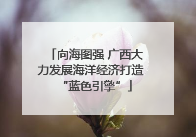 向海图强 广西大力发展海洋经济打造“蓝色引擎”