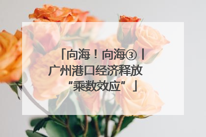 向海！向海③丨广州港口经济释放“乘数效应”