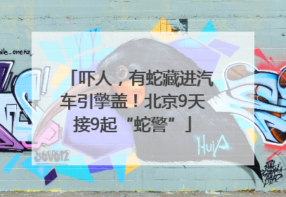 吓人，有蛇藏进汽车引擎盖！北京9天接9起“蛇警”