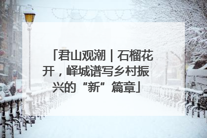 君山观潮｜石榴花开，峄城谱写乡村振兴的“新”篇章