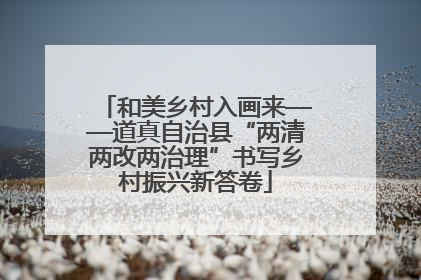 和美乡村入画来——道真自治县“两清两改两治理”书写乡村振兴新答卷