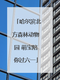 哈尔滨北方森林动物园 萌宝陪你过六一