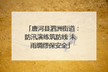 唐河县泗洲街道：防汛演练筑防线 未雨绸缪保安全