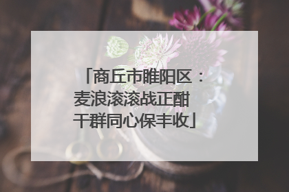商丘市睢阳区：麦浪滚滚战正酣 干群同心保丰收