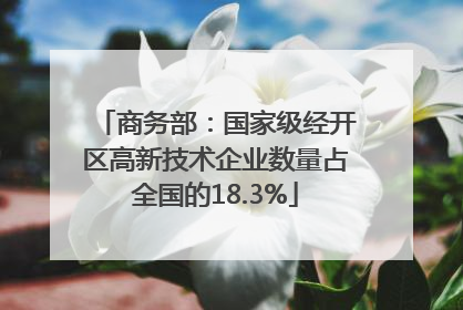 商务部：国家级经开区高新技术企业数量占全国的18.3%