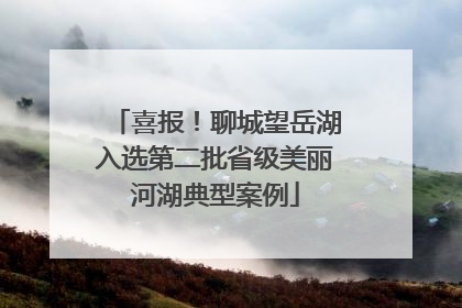 喜报！聊城望岳湖入选第二批省级美丽河湖典型案例