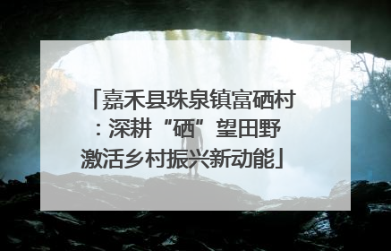 嘉禾县珠泉镇富硒村：深耕“硒”望田野 激活乡村振兴新动能