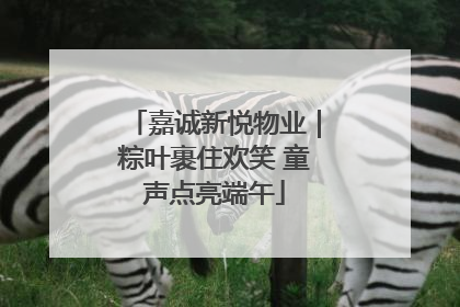 嘉诚新悦物业｜粽叶裹住欢笑 童声点亮端午
