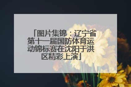 图片集锦：辽宁省第十一届国防体育运动锦标赛在沈阳于洪区精彩上演