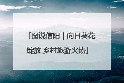 图说信阳｜向日葵花绽放 乡村旅游火热