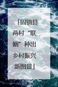 固镇县两村“联姻”种出乡村振兴新图景