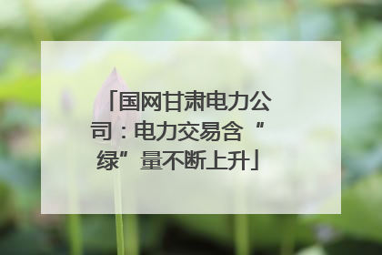 国网甘肃电力公司：电力交易含“绿”量不断上升