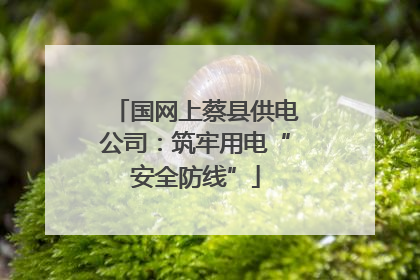 国网上蔡县供电公司：筑牢用电“安全防线”