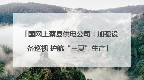 国网上蔡县供电公司：加强设备巡视 护航“三夏”生产