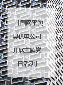 国网平舆县供电公司开展主题党日活动