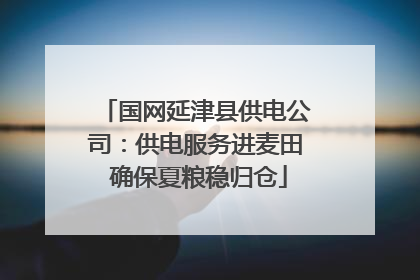 国网延津县供电公司：供电服务进麦田 确保夏粮稳归仓
