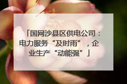 国网沙县区供电公司：电力服务“及时雨”，企业生产“动能强”