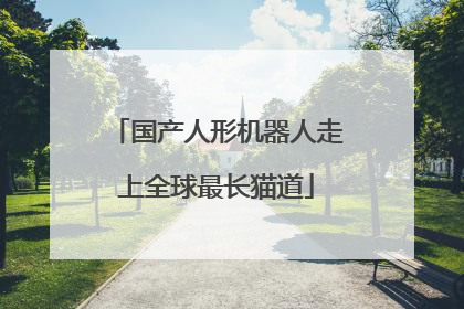国产人形机器人走上全球最长猫道