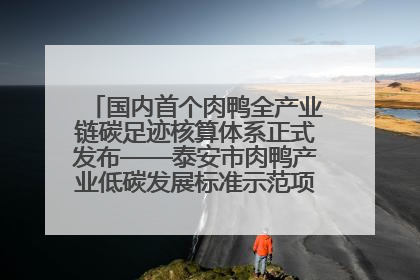 国内首个肉鸭全产业链碳足迹核算体系正式发布——泰安市肉鸭产业低碳发展标准示范项目顺利通过验收