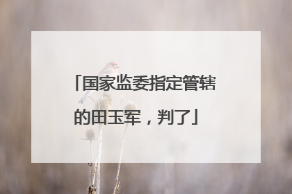 国家监委指定管辖的田玉军，判了