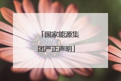 国家能源集团严正声明