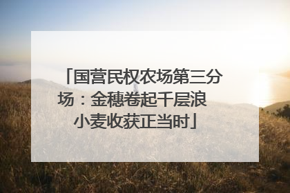 国营民权农场第三分场：金穗卷起千层浪 小麦收获正当时
