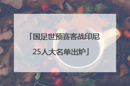国足世预赛客战印尼25人大名单出炉