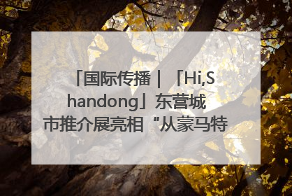 国际传播｜「Hi,Shandong」东营城市推介展亮相“从蒙马特到加里波第”文化节