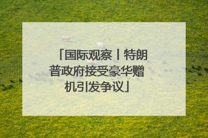 国际观察丨特朗普政府接受豪华赠机引发争议