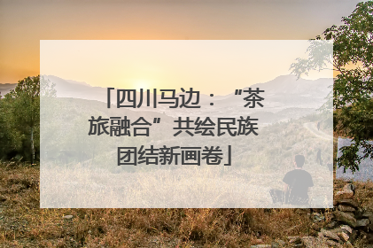 四川马边：“茶旅融合”共绘民族团结新画卷