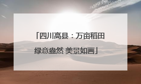 四川高县：万亩稻田绿意盎然 美景如画