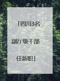 四川3名副厅级干部任新职