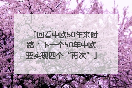 回看中欧50年来时路：下一个50年中欧要实现四个“再次”
