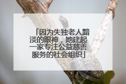 因为失独老人黯淡的眼神，她建起一家专注公益慈善服务的社会组织