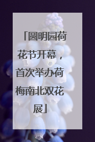 圆明园荷花节开幕，首次举办荷梅南北双花展