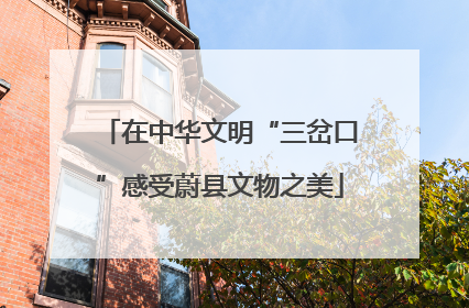 在中华文明“三岔口”感受蔚县文物之美