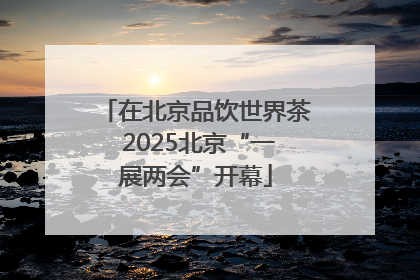 在北京品饮世界茶 2025北京“一展两会”开幕