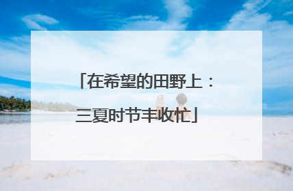 在希望的田野上：三夏时节丰收忙