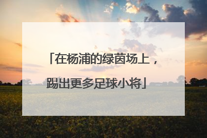 在杨浦的绿茵场上，踢出更多足球小将